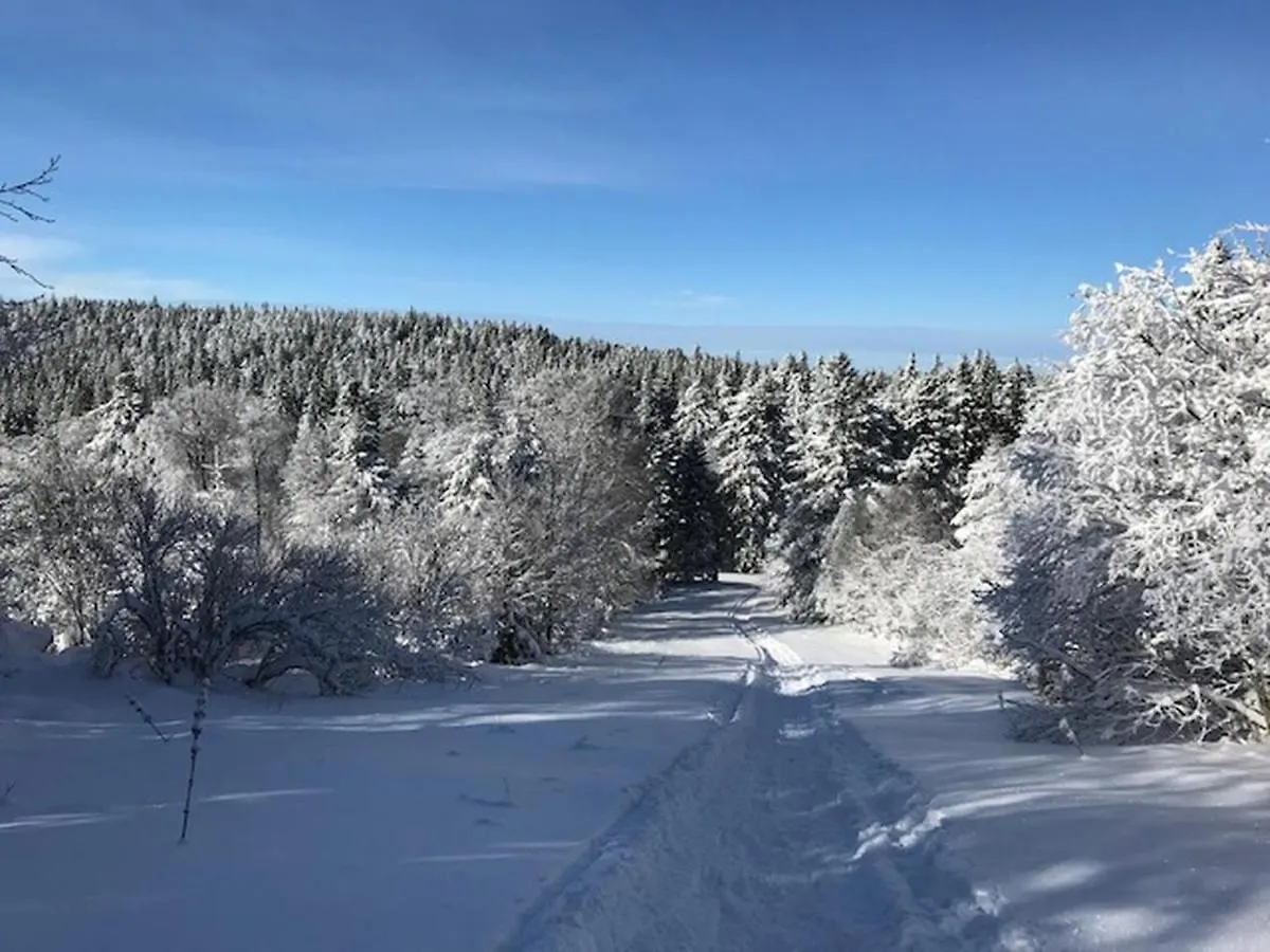 Holiday home Chalet Au Mont-Dore, 300M Du Centre, 6 Pieces, Garage, Terrain Pentu, Ideal 8 Pers, Animaux Non Acceptes. - Fr-1-608-4