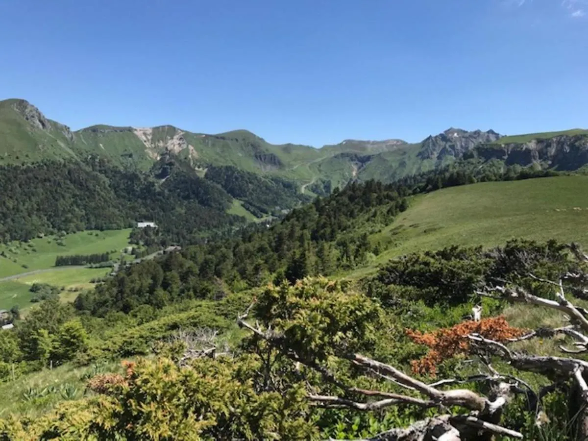 Chalet Au Mont-Dore, 300M Du Centre, 6 Pieces, Garage, Terrain Pentu, Ideal 8 Pers, Animaux Non Acceptes. - Fr-1-608-4 location